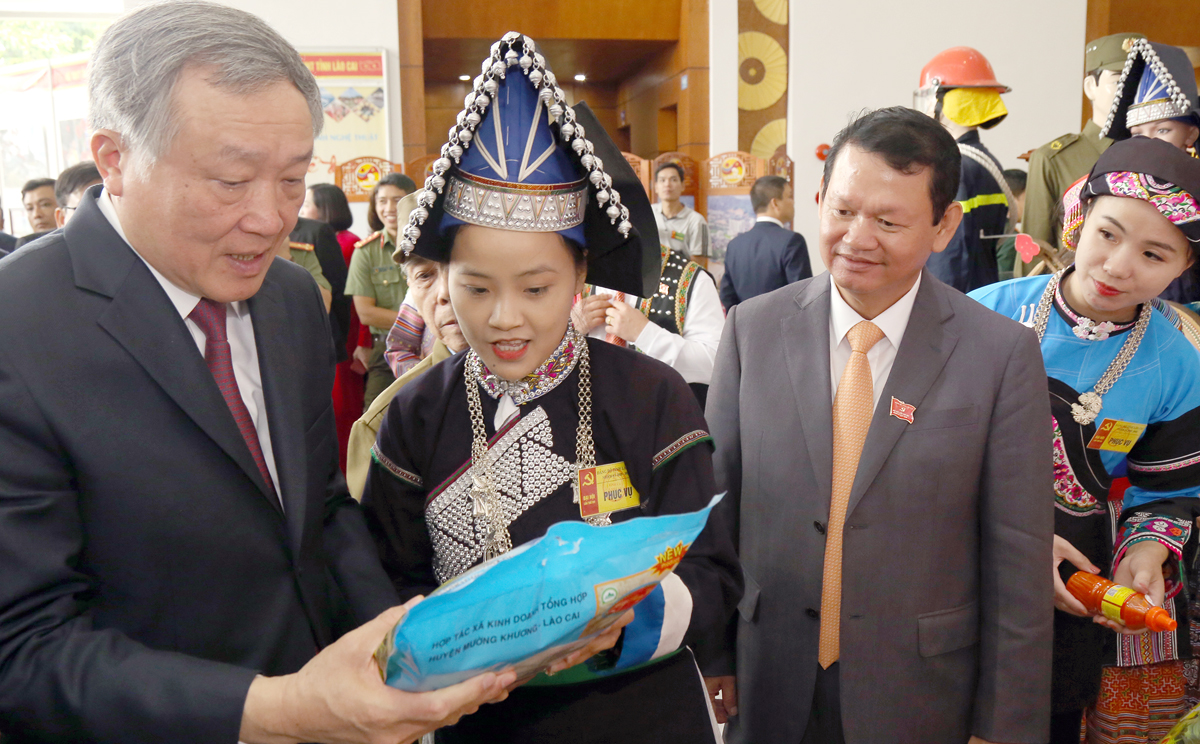 Tham quan triển lãm thành tựu phát triển kinh tế - xã hội tỉnh Lào Cai ảnh 5