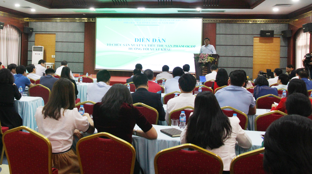 Tổ chức sản xuất và tiêu thụ sản phẩm OCOP hướng tới xuất khẩu ảnh 1