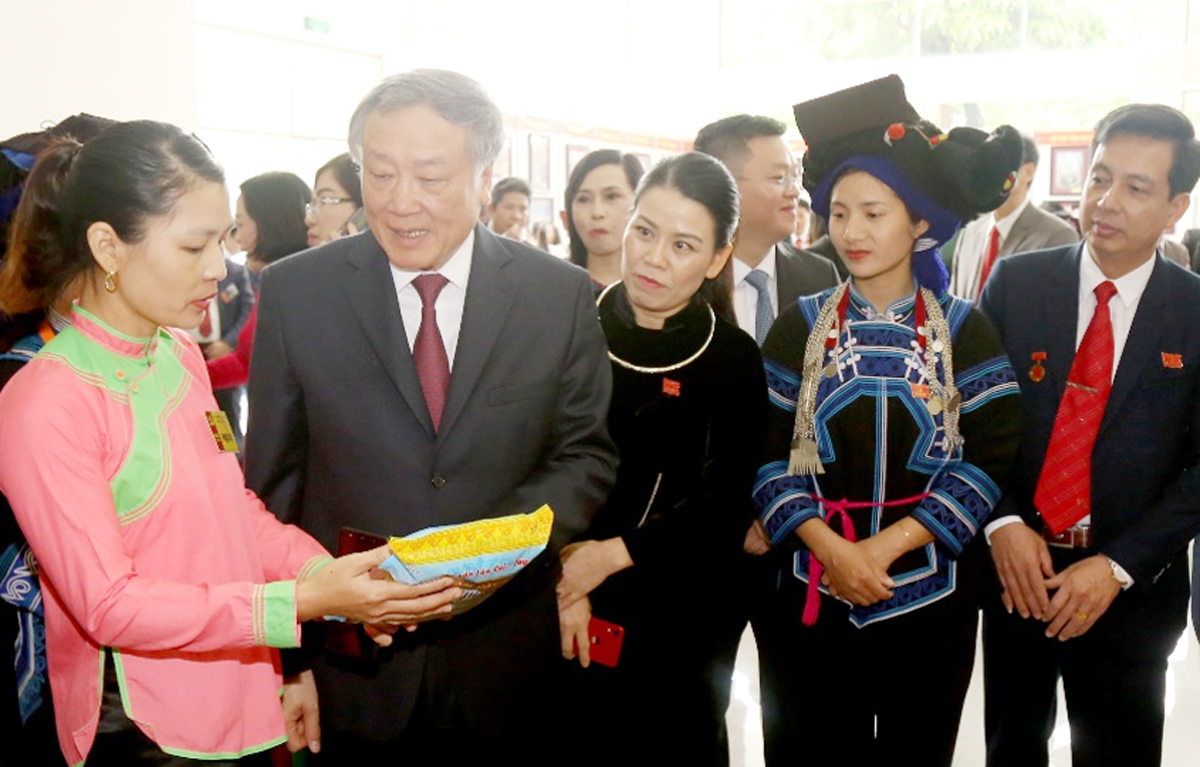 Tham quan triển lãm thành tựu phát triển kinh tế - xã hội tỉnh Lào Cai ảnh 6