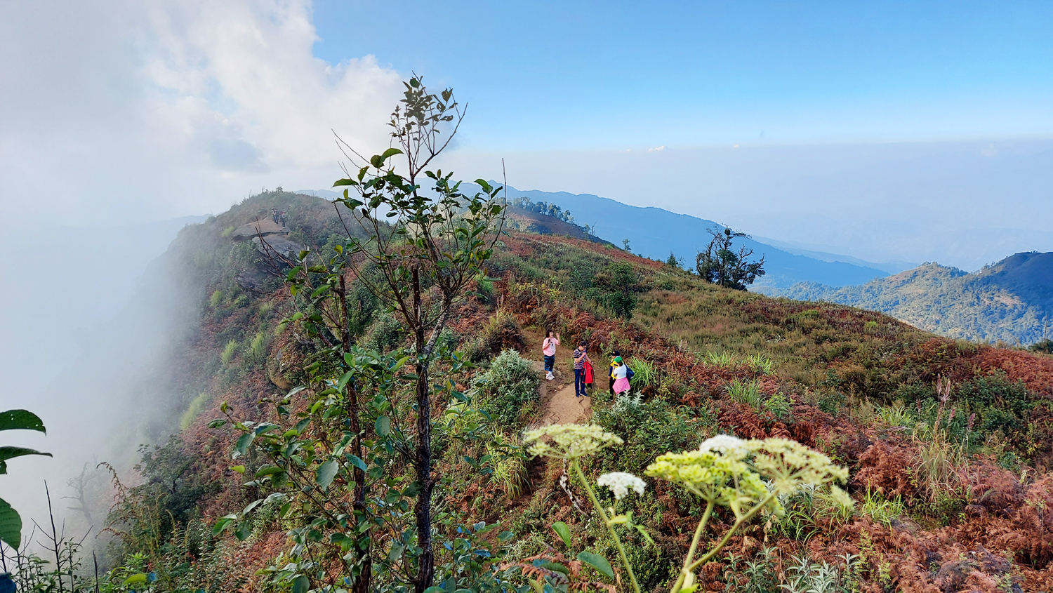 Đỉnh núi Lảo Thẩn thu hút khách du lịch ảnh 4 Đỉnh núi Lảo Thẩn thu hút khách du lịch ảnh 4