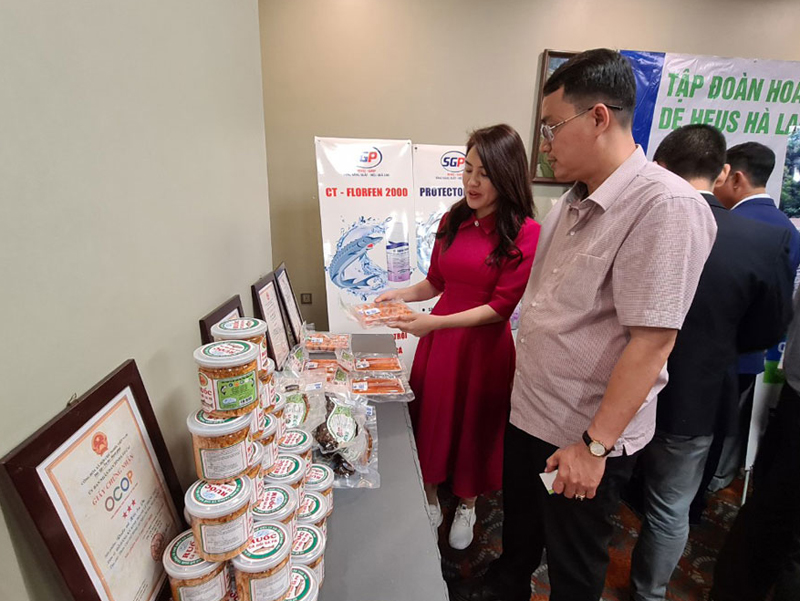 Giới thiệu sản phẩm từ cá hồi Sa Pa.