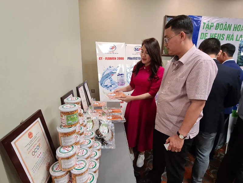 Giới thiệu sản phẩm từ cá hồi Sa Pa.