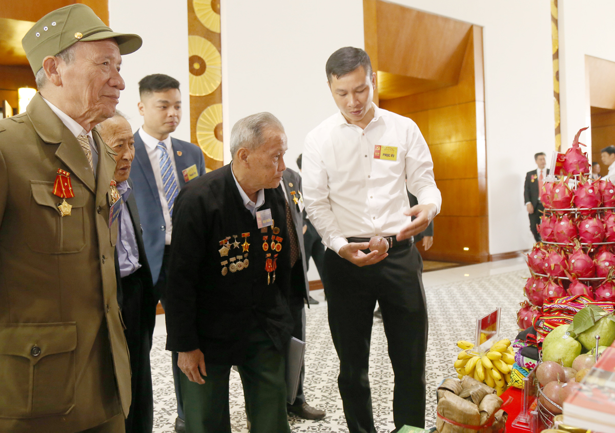 Tham quan triển lãm thành tựu phát triển kinh tế - xã hội tỉnh Lào Cai ảnh 12