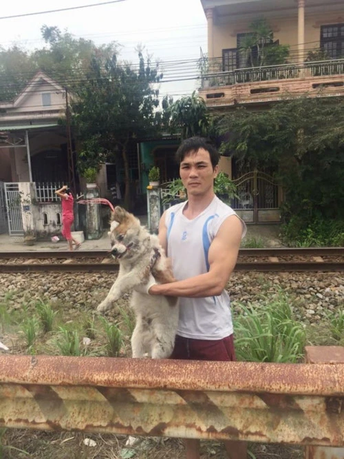Anh Sơn tìm và cứu một chú chó bị bỏ rơi tại đường Lê Duẩn, TP Huế cạnh đường sắt.