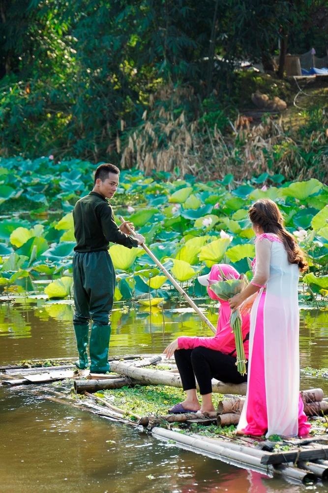 Những bông sen nở ở hồ sen Võ Lao đẹp đến nao lòng. Vẻ đẹp bình dị của hoa sen tạo nên không gian lãng mạn, thanh bình cho những vùng quê. Nhiều bạn trẻ tìm đến hồ sen để ghi lại những khoảnh khắc đẹp cho riêng mình. Thiếu nữ tạo dáng bên hoa sen cùng áo dài truyền thống. Đài sen sẽ là món quà quê dân dã ở những phiên chợ quê. Người trồng sen thu hái lá về phơi khô, dùng làm nước uống giải nhiệt, chữa bệnh mỡ máu.