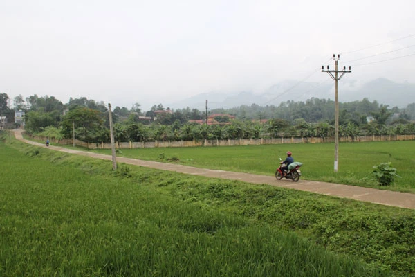 Giao thông nông thôn thôn Phú Hải 2, xã Phú Nhuận (Bảo Thắng).