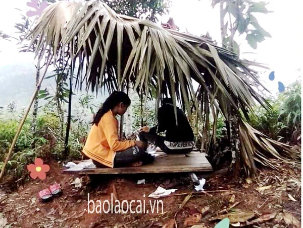 Xúc động những học sinh dựng lều học trực tuyến trong mùa dịch ảnh 7