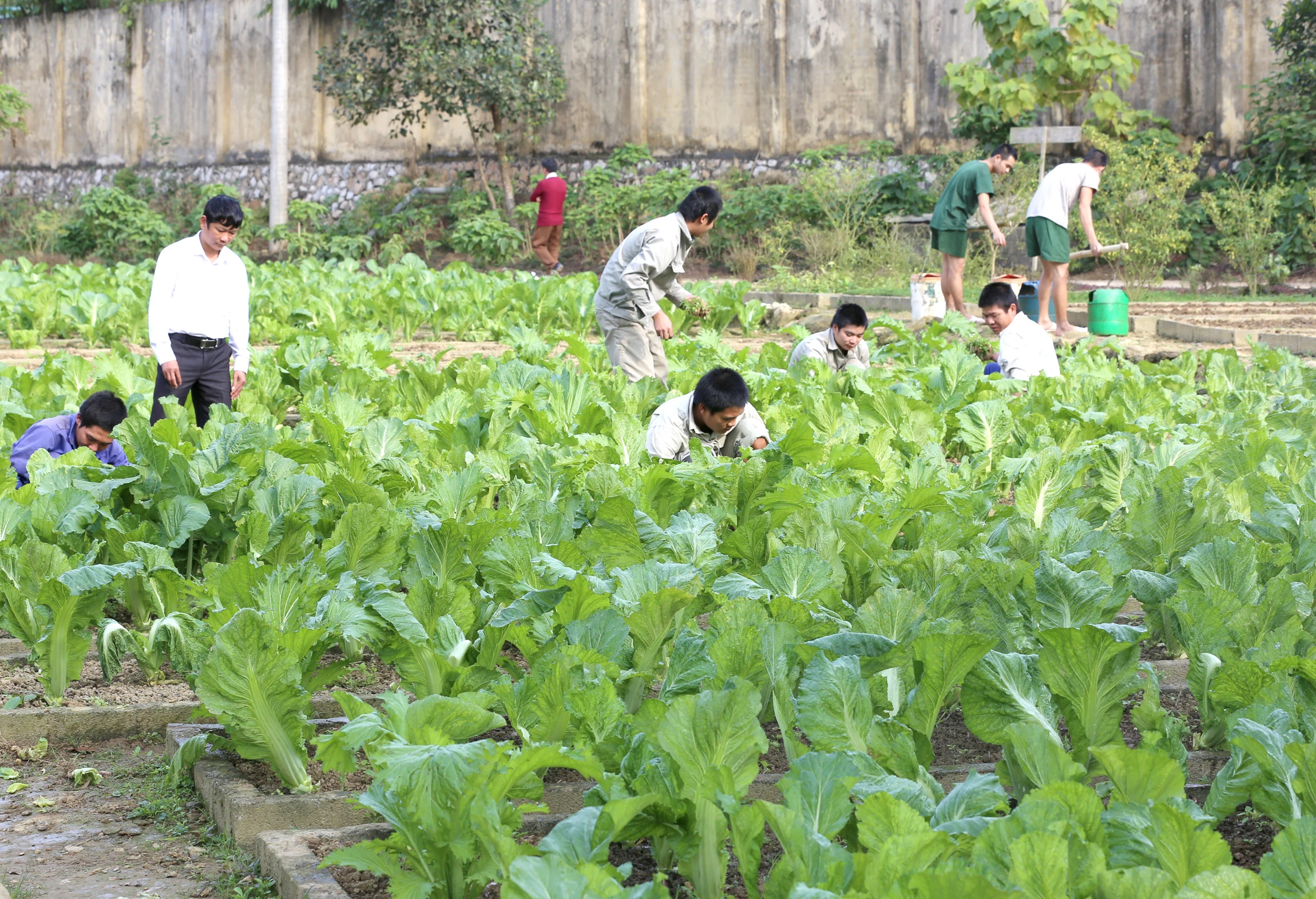 Học viên phải thi hành chữa bệnh tại cơ sở cai nghiện ma túy đủ thời gian quy định (Ảnh minh họa: Học viên lao động chữa bệnh tại Trung tâm Chữa bệnh – Giáo dục – Lao động xã hội thành phố Lào Cai)