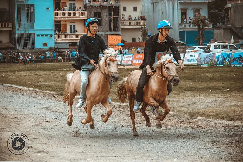 Khám phá cao nguyên trắng Bắc Hà qua ảnh dự thi “Vẻ đẹp Lào Cai” ảnh 3