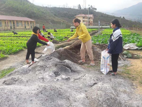 Tro bếp được dùng để trồng rau xanh cho học sinh bán trú.