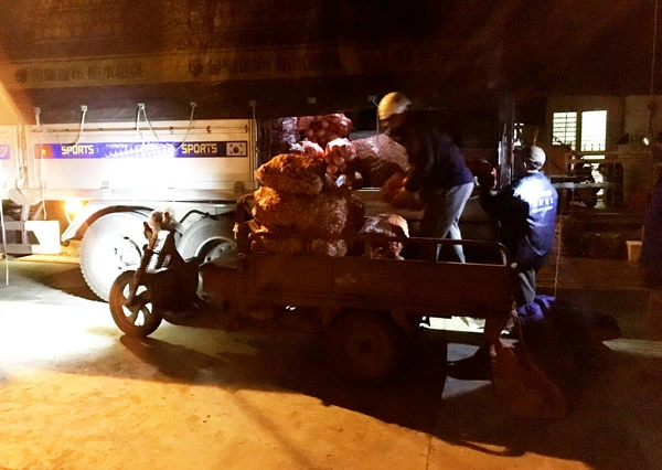 Người dân bốc hàng lên ô tô để vận chuyển đi các vùng.
