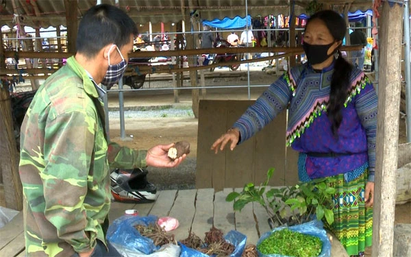 Người dân đến chợ Phong Hải đều chấp hành tốt việc đeo khẩu trang.