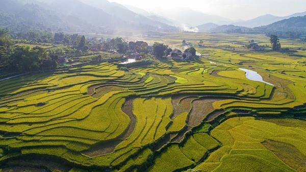 Đường nét ruộng bậc thang mùa vàng Hợp Thành có vẻ đẹp riêng. Ruộng bậc thang qua góc nhìn Flycam. Hoàng hôn trên cánh đồng Hợp Thành tạo lên khung cảnh đầy màu sắc. Ruộng bậc thang rộng hút tầm mắt được bao quanh bởi những ngôi nhà của đồng bào dân tộc Tày. Tranh thủ thời tiết thuận lợi người dân bắt đầu thu hoạch lúa. Lúa được tập kết rồi dùng máy tuốt sau đó vận chuyển về nhà. Phong cảnh làng quê thanh bình vào mỗi buổi chiều.