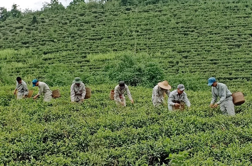 Giúp người nghiện ma túy làm lại cuộc đời ảnh 1