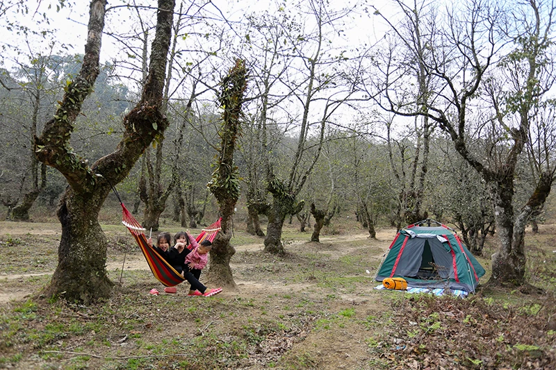 Ấn tượng những điểm du lịch mới của Bát Xát ảnh 4