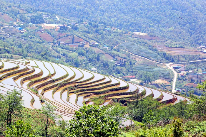 Ruộng bậc thang Bát Xát mùa nước đổ.