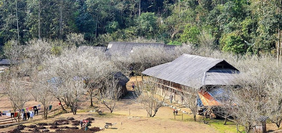 Khám phá cao nguyên trắng Bắc Hà qua ảnh dự thi “Vẻ đẹp Lào Cai” ảnh 7