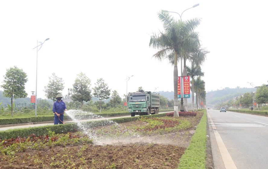 Tưới nước cho cây xanh, hoa mới trồng.