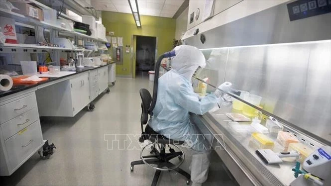 Các nhà khoa học nghiên cứu về virus SARS-CoV-2 tại phòng thí nghiệm ở Tehran.