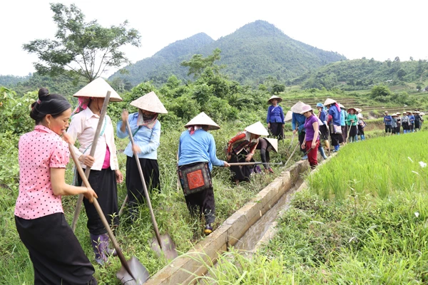 Khi đi thăm đồng, phụ nữ Tày thường sửa chữa, khơi thông kênh mương và kiểm tra sâu bệnh hại lúa, cây hoa màu…
