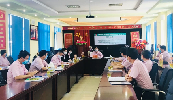 Lãnh đạo Ngân hàng CSXH tỉnh triển khai Quyết định 15/2020/QĐ-TTg ngày 24/4/2020 quy định về thực hiện các chính sách hỗ trợ người dân gặp khó khăn do đại dịch Covid-19.