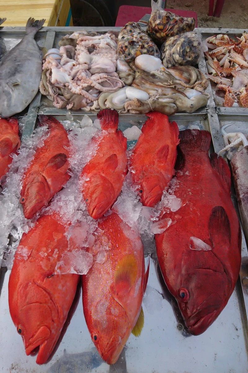 Ký sự Lý Sơn – khúc bài chòi mùa hạ ảnh 2