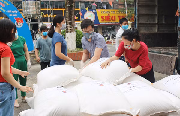 Toàn bộ số gạo được bàn giao cho Trường THPT số 1 TP Lào Cai để phát miễn phí cho người dân.