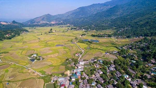 Ngắm ruộng bậc thang Hợp Thành mùa lúa chín ảnh 4