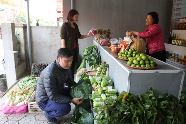 Khách hàng chọn mua nông sản tại cửa hàng của Trung tâm Dịch vụ nông nghiệp Bát Xát (ảnh chụp trước ngày 16/3/2020).