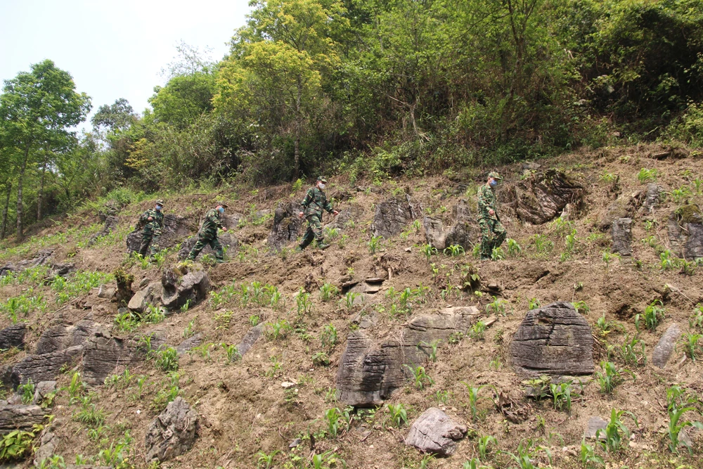 Cán bộ, chiến sỹ Đồn Biên phòng Pha Long tổ chức tuần tra trên biên giới.