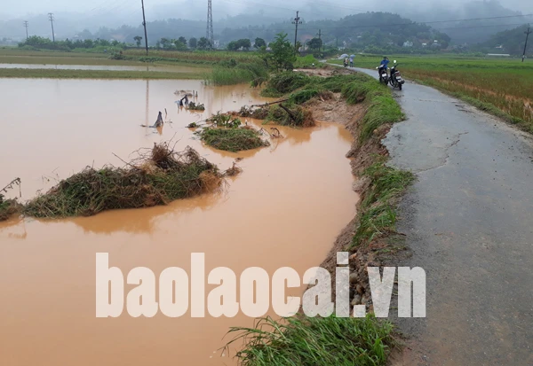 Mưa lũ cuốn trôi một phần đường dẫn vào thôn Làng Pẳn. Người dân Quang Kim dầm mình trong lũ lùa gia cầm. Bùn đất tràn vào nhiều ngôi nhà ở Quang Kim. Nhiều ngôi nhà kiên cố ở Bát Xát bị hư hỏng.