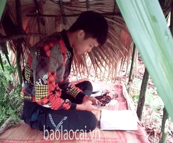 Xúc động những học sinh dựng lều học trực tuyến trong mùa dịch ảnh 8