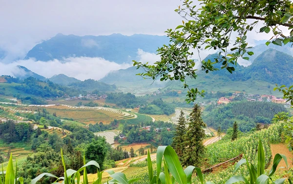 Trung tâm xã Sín Chéng được bao quanh bởi ruộng bậc thang.