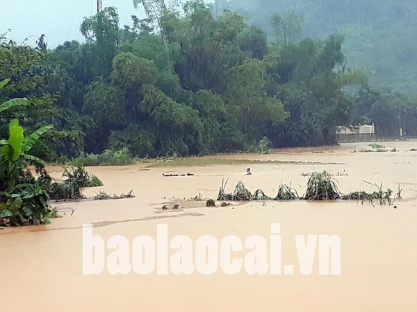 Người dân Bát Xát gồng mình khắc phục hậu quả mưa lũ ảnh 2