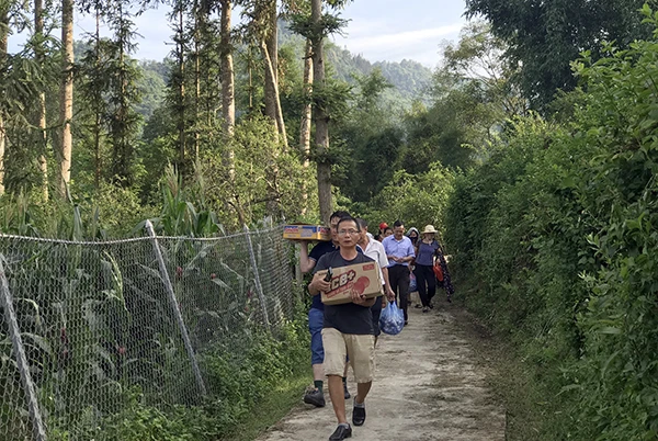 Vườn mận Bắc Hà thu hút du khách ảnh 7