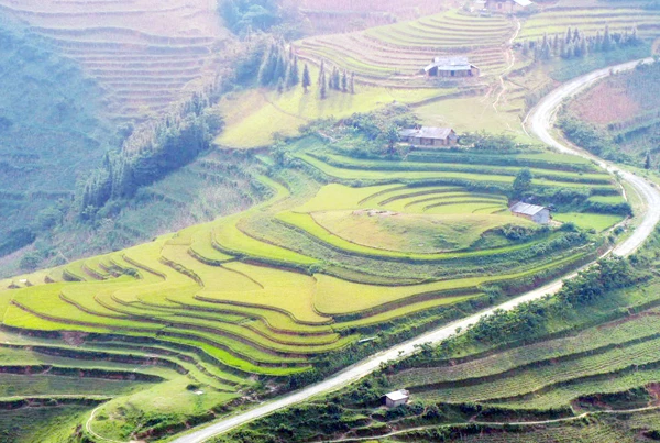 Ruộng bậc thang Sín Chéng.