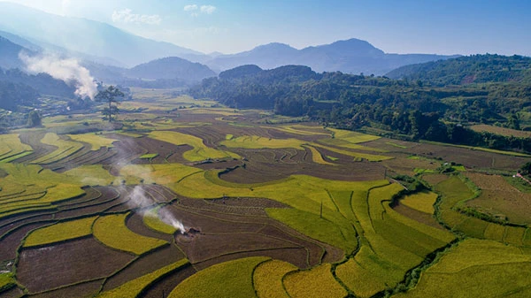Ngắm ruộng bậc thang Hợp Thành mùa lúa chín ảnh 2