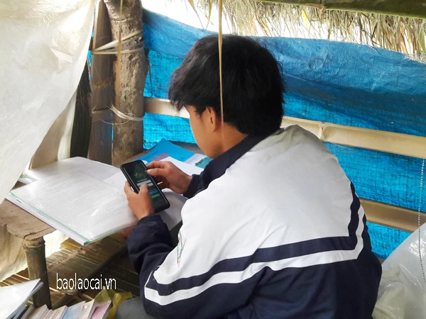Xúc động những học sinh dựng lều học trực tuyến trong mùa dịch ảnh 1