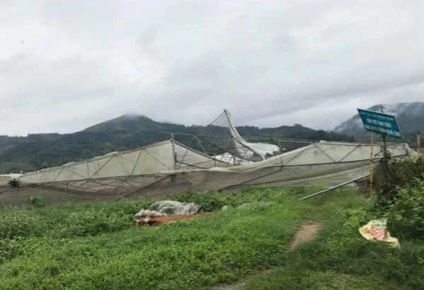 Nhà màng trồng rau ứng dụng công nghệ cao xã Quang Kim bị đổ sập.