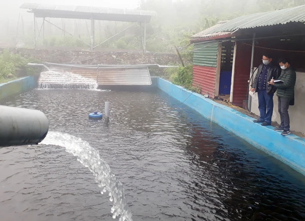 Các cơ quan, đơn vị, địa phương chủ động phối hợp cung cấp thông tin cho báo chí, góp phần minh bạch thông tin.