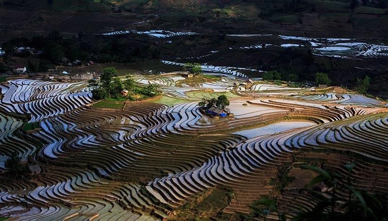 Ruộng bậc thang Sàng Ma Sáo.