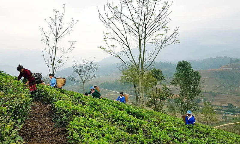 Ấn tượng những điểm du lịch mới của Bát Xát ảnh 8