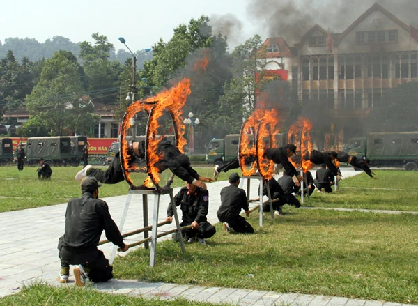 Cảnh sát cơ động tập luyện võ thuật sẵn sàng phục vụ chiến đấu.