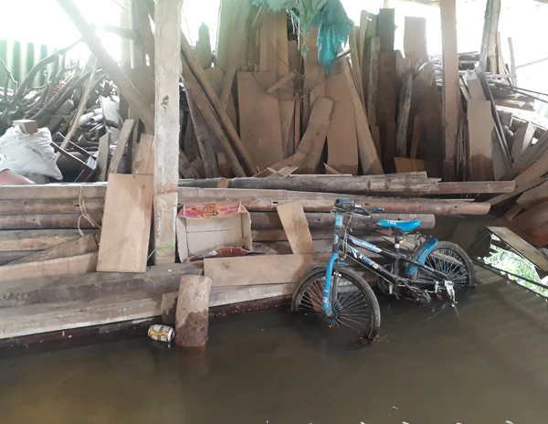 Xưởng gỗ và nhiều vật dụng của gia đình chị Hà bị ngập.