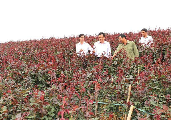 Tiếp tục tạo sự lan tỏa phong trào nông dân sản xuất, kinh doanh giỏi ảnh 2