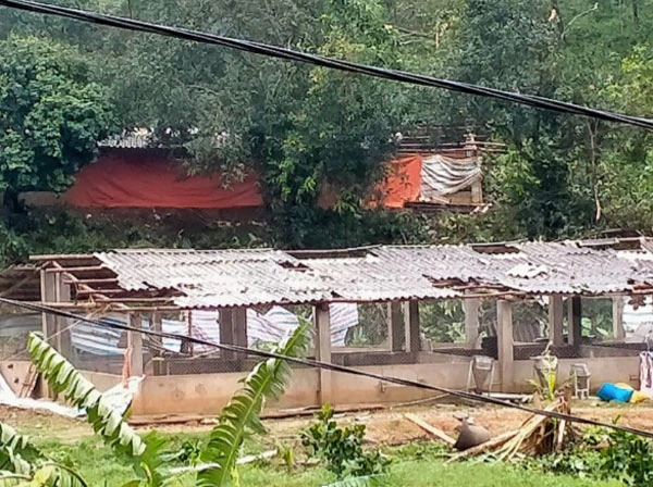 Lào Cai ước thiệt hại trên 15 tỷ đồng do mưa đá, dông lốc đêm 22, sáng 23/4 ảnh 14