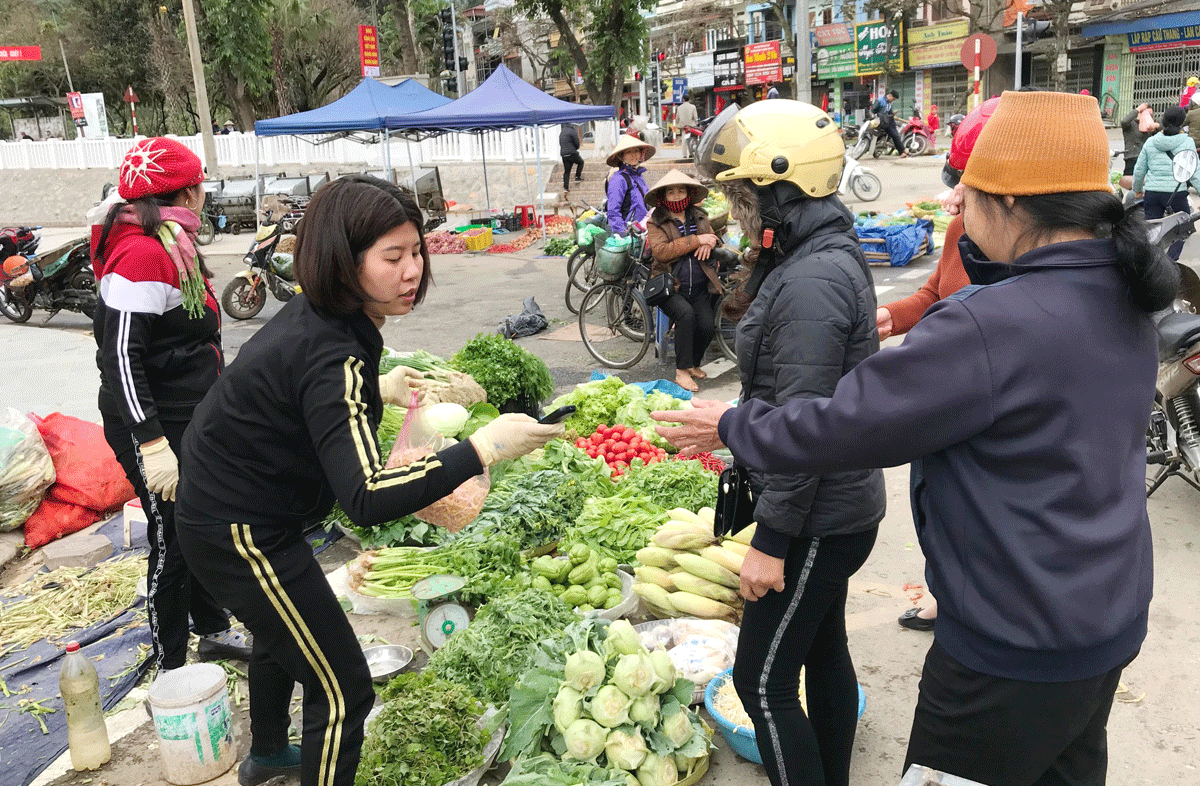 Giá cả các mặt hàng rau xanh tăng 15 – 20% so với ngày cuối năm.