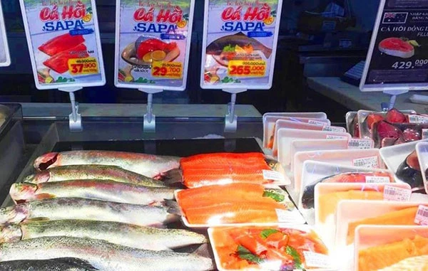Cá hồi Sa Pa bán tại siêu thị Bic C Hà Nội.