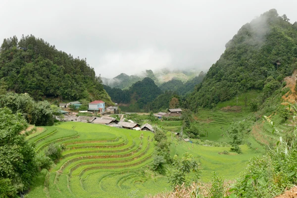 Thôn Bãi Bằng có 21,6% hộ nghèo.