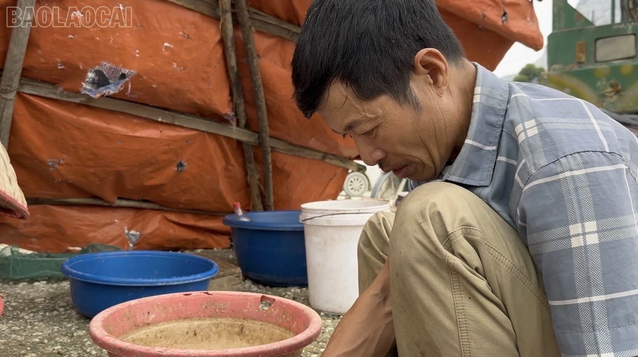 Mưu sinh trên lòng hồ ảnh 2